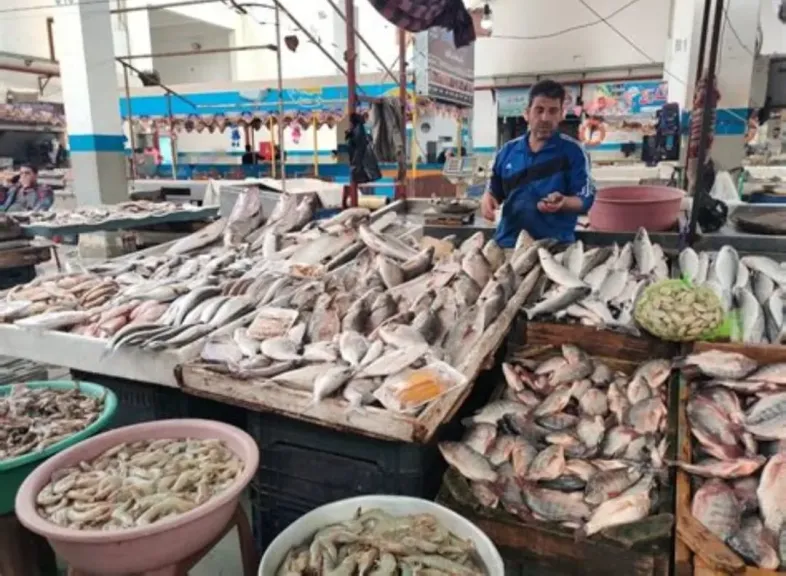 البلطي بـ30 جنيه.. أسعار الأسماك في سوق العبور