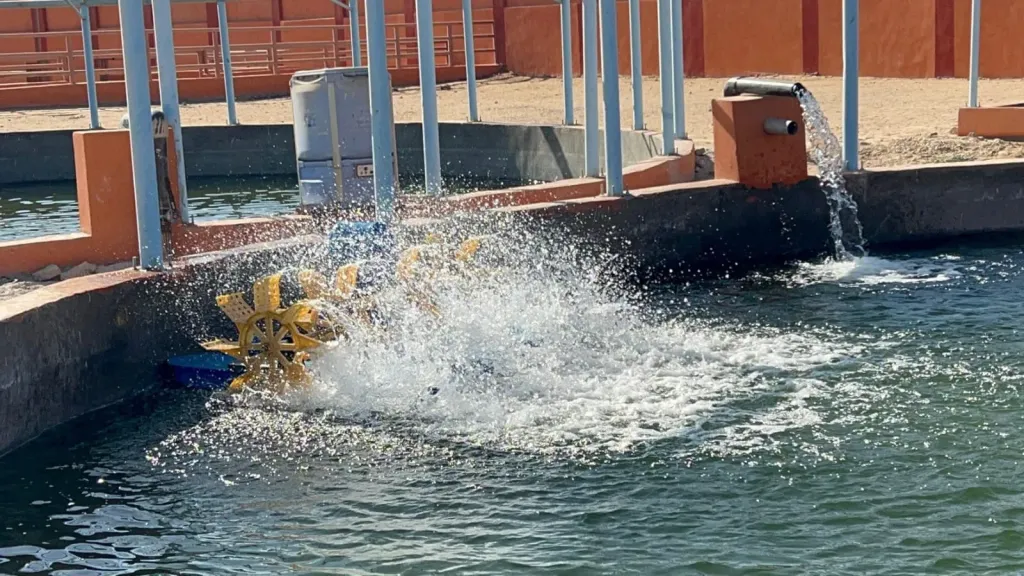 الرزيقات تحتضن المزرعة النموذجية للإنتاج السمكي والحيواني