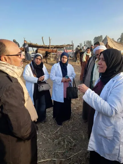 الزراعة: تحصين 1.7 مليون رأس ماشية ضد الحمى القلاعية