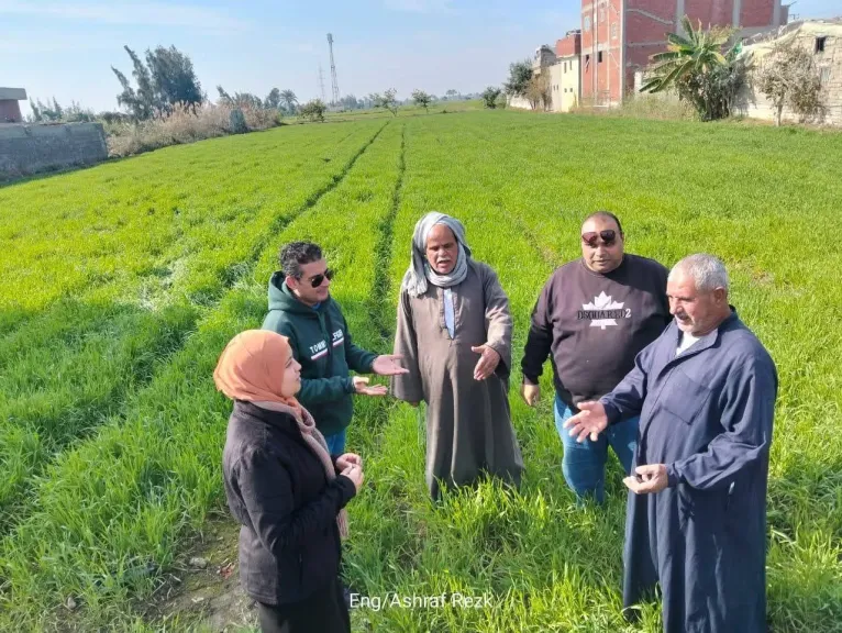 ”الزراعة” تنجح في دعم 715 ألف مزارع بالريف بأنشطة ” بحوث الإرشاد الزراعي”