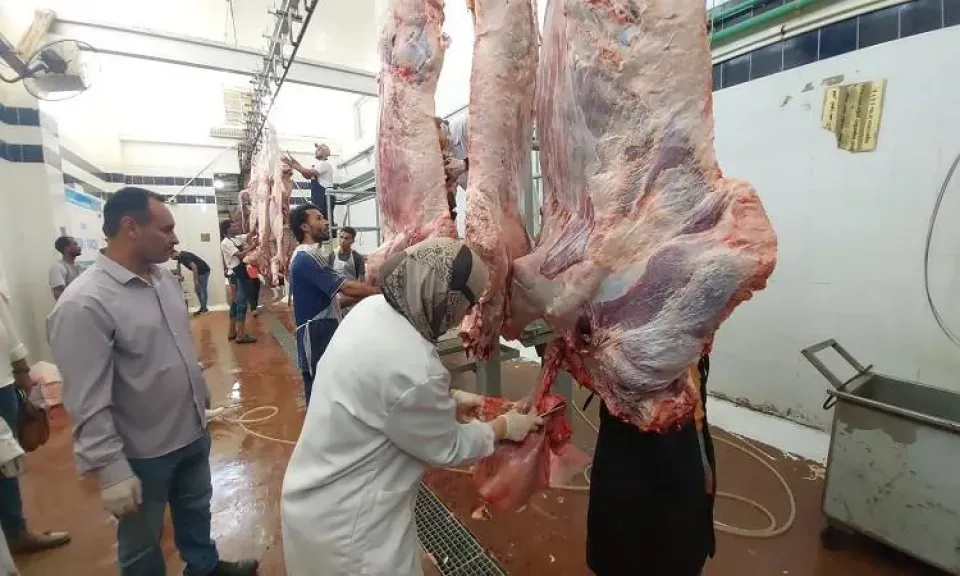 الخدمات البيطرية تطلق خطة لسلامة الغذاء الحيواني