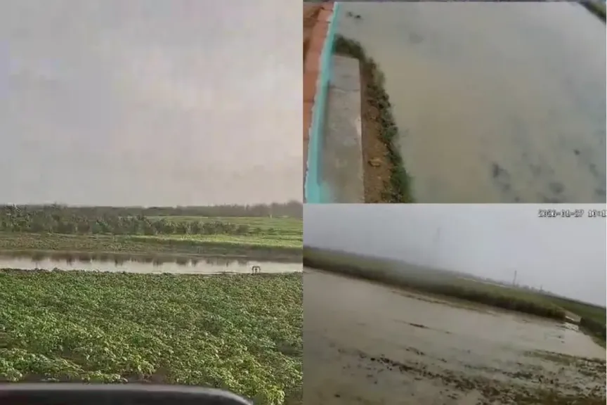 المغرب: فيضانات حوض لوكوس تغرق مزارع البطاطس في مستنقعات طينية