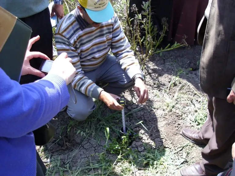 المياه الجوفية تهدد المحاصيل عند تجاوز الحد الحرج