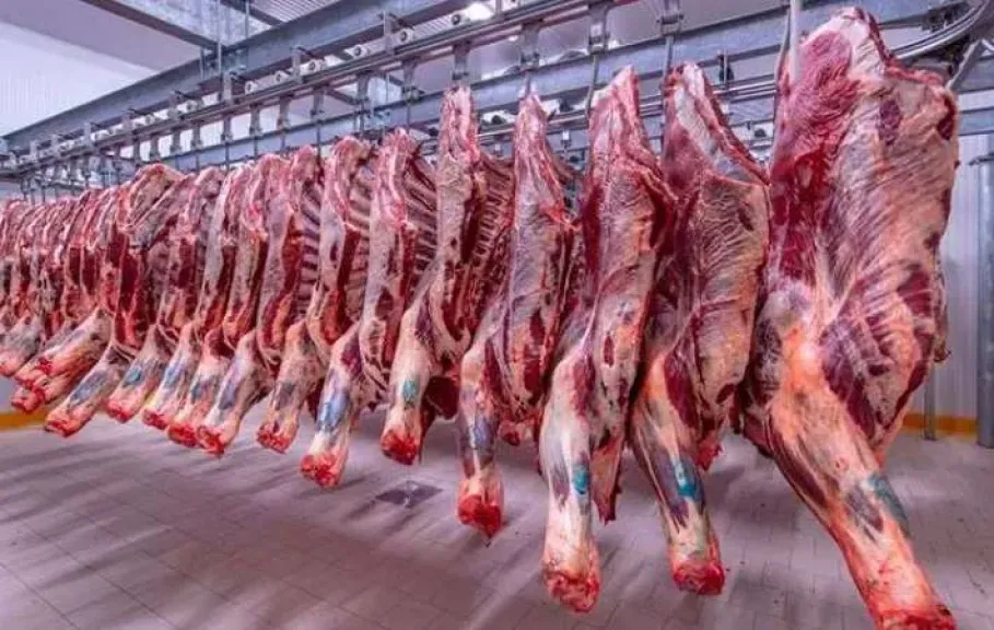 ارتفاع أسعار اللحوم والماشية 15% الفترة المقبلة.. تفاصيل