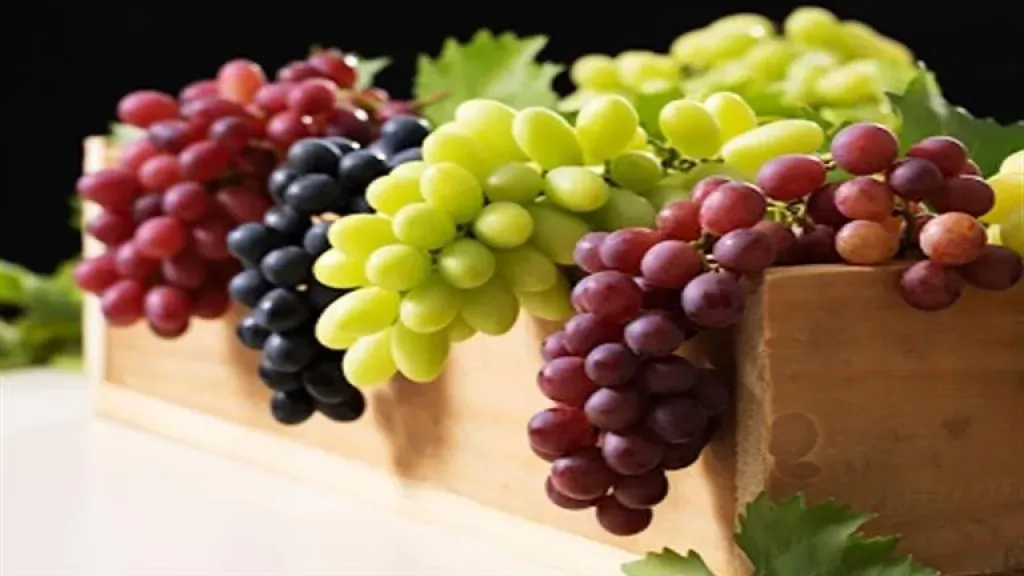 تقرير أمريكي: إنتاج العنب في مصر يقترب من 1.7 مليون طن هذا الموسم