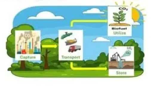 ​دراسة تكشف دور الـai والوقود الحيوي في تقليل انبعاثات الكربون