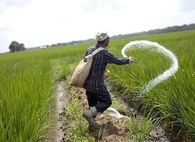 رئيس قطاع الخدمات بوزارة الزراعة: 50 مليار جنيه لدعم الأسمدة