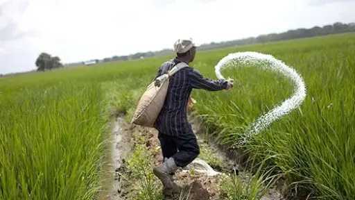 رئيس قطاع الخدمات بوزارة الزراعة: 50 مليار جنيه لدعم الأسمدة