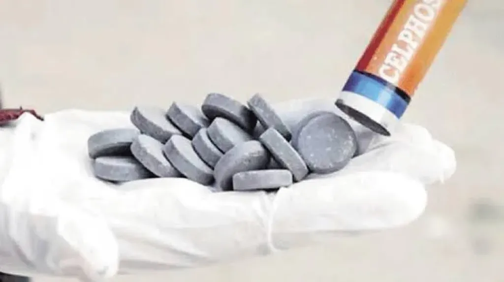 مبادرة لمحاصرة مخاطر «حبة الغلة».. تعرف على التفاصيل