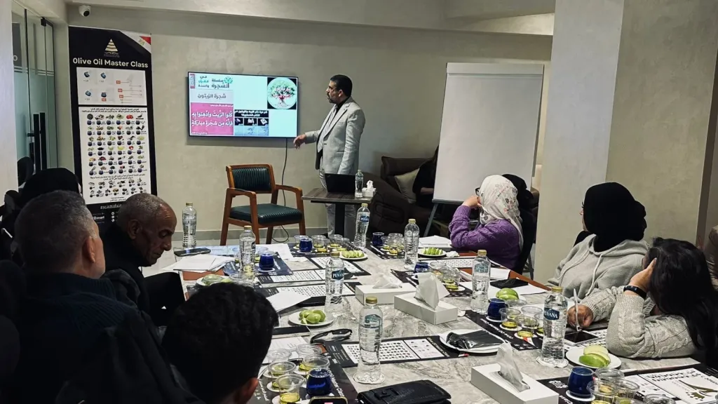 انطلاق دورة «ميد مارت» الثانية للتقييم الحسي لزيت الزيتون