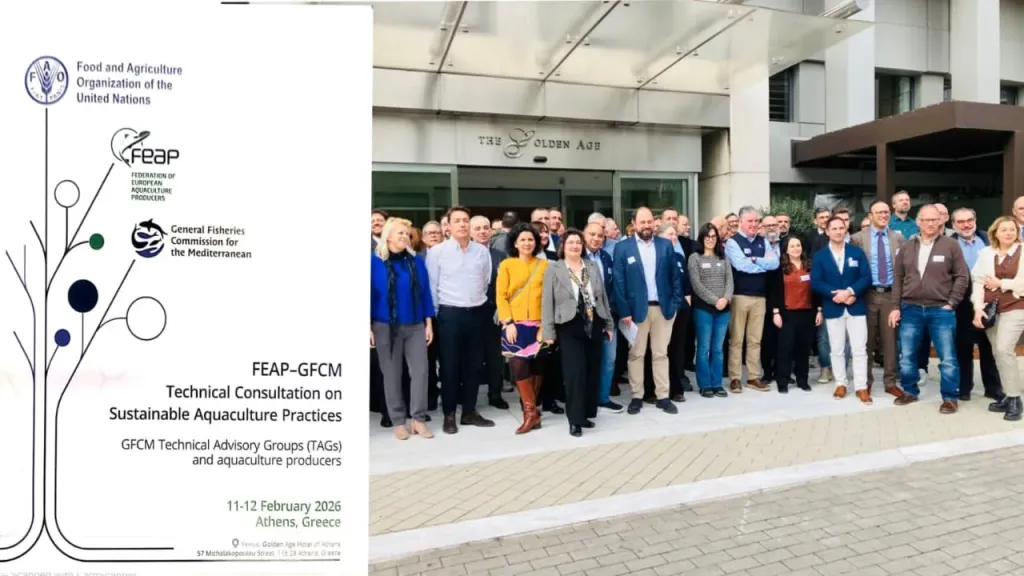 مشاركة مصرية فاعلة في المشاورة الفنية للإستزراع السمكي المستدام بأثينا