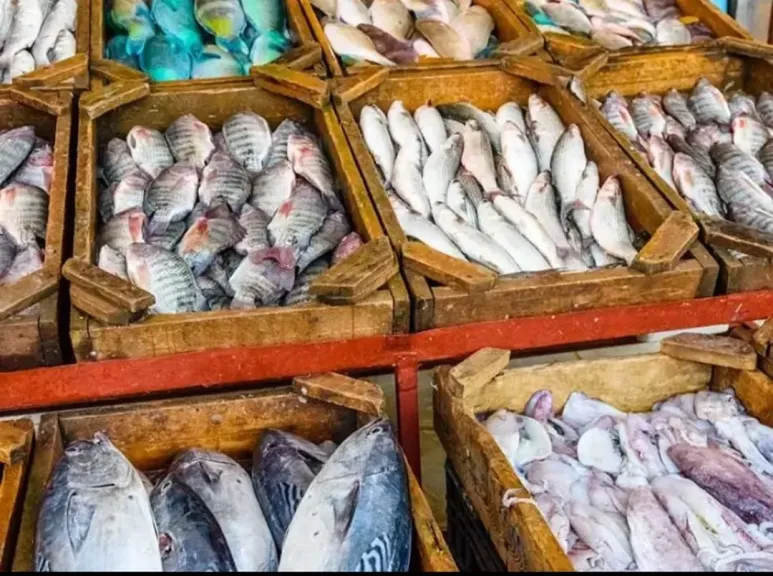 اسعار السمك بسوق العبور اليوم الخميس