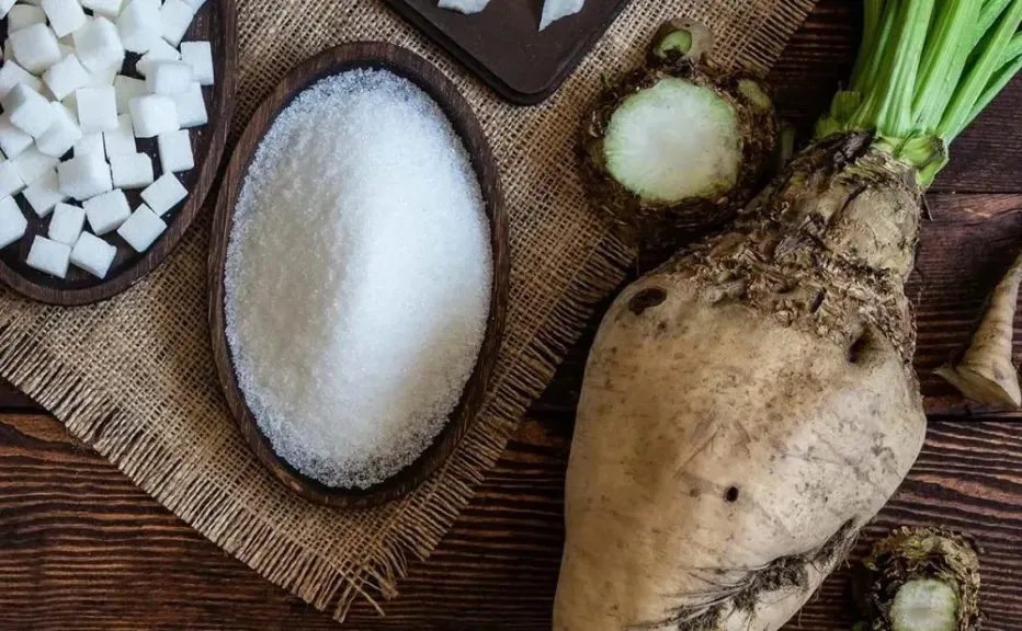 توقعات بانخفاض إنتاج السكر في الاتحاد الأوروبي بنسبة 10% للموسم القادم