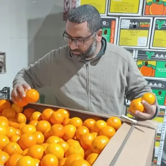 الحجر الزراعي يكثف الرقابة على محطات تعبئة الموالح والبطاطس