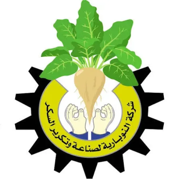شركة النوبارية للسكر تعلن بدء موسم توريد بنجر السكر