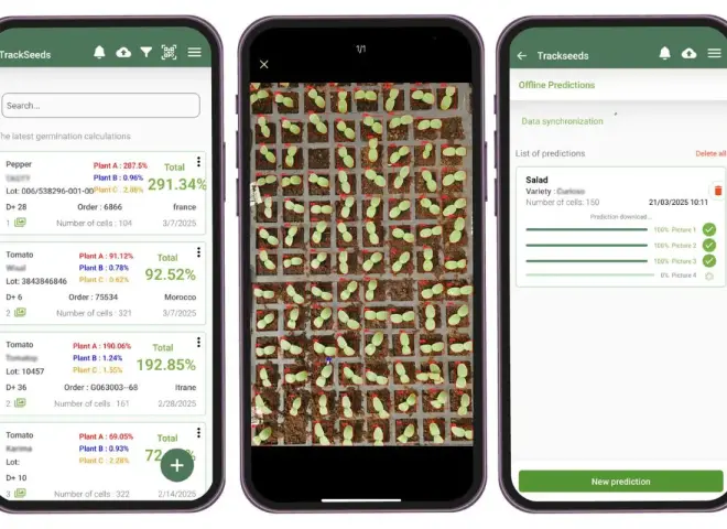 شركة مغربية ناشئة تخطف الأنظار في فروت لوجيستيكا بحلول الذكاء الاصطناعي