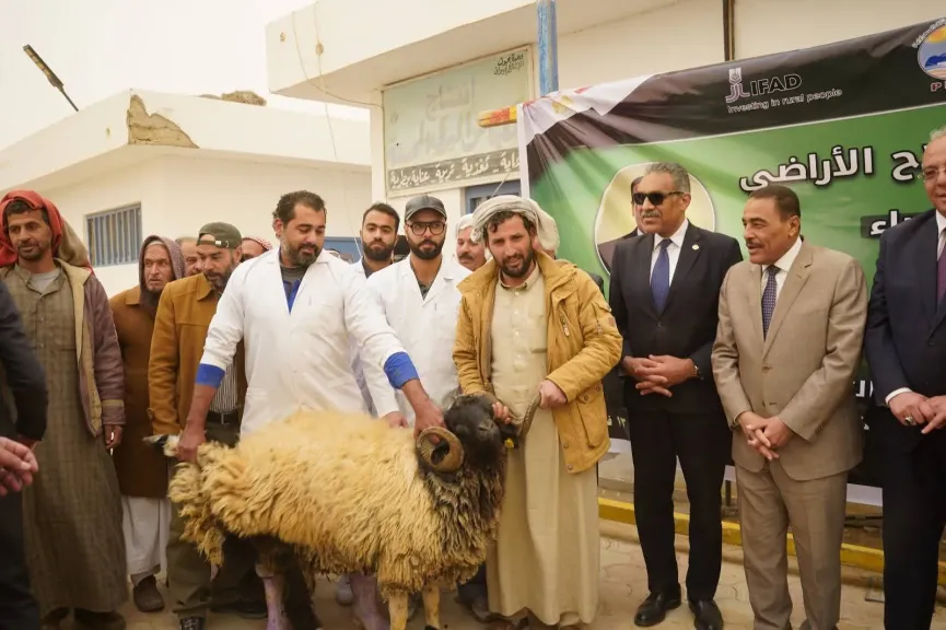 توزيع كباش برقي و50 ألف شتلة زيتون لدعم المزارعين في مطروح