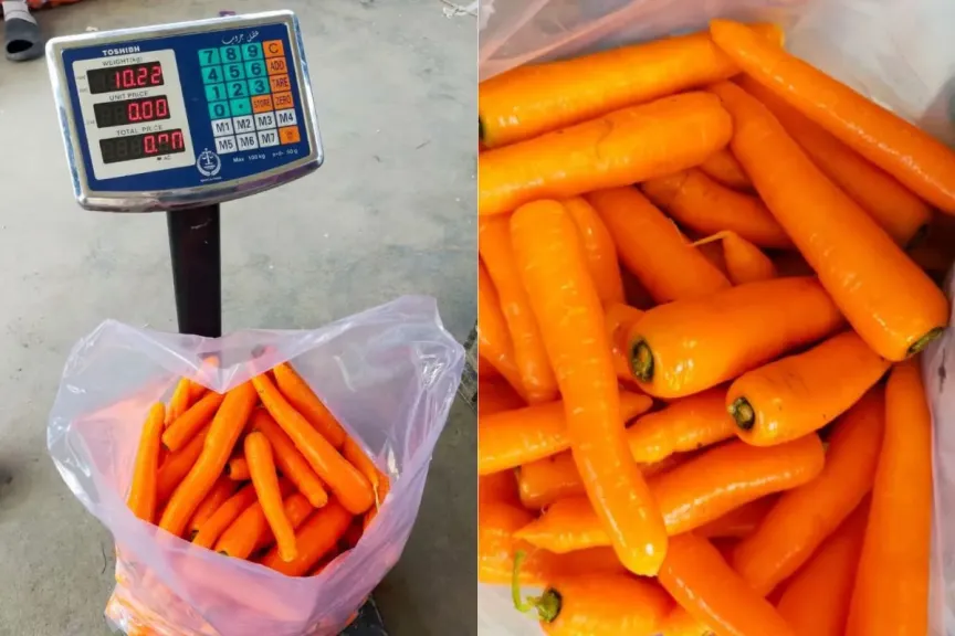 انكماش مساحة زراعة الجزر في مصر مع تراجع الطلب الأوروبي