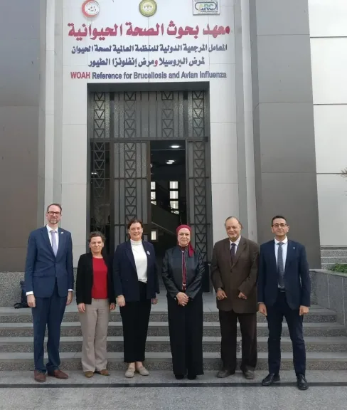 الصحة الحيوانية يستقبل وفداً دنماركياً لرفع كفاءة المنظومة البيطرية