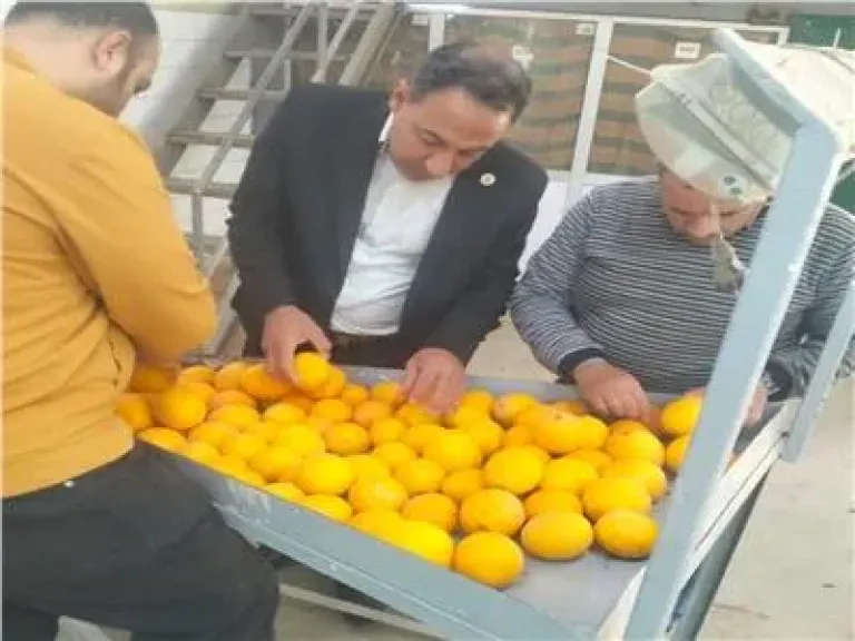 رئيس الحجر الزراعي: تفعيل لجان رقابية داخل محطات التعبئة