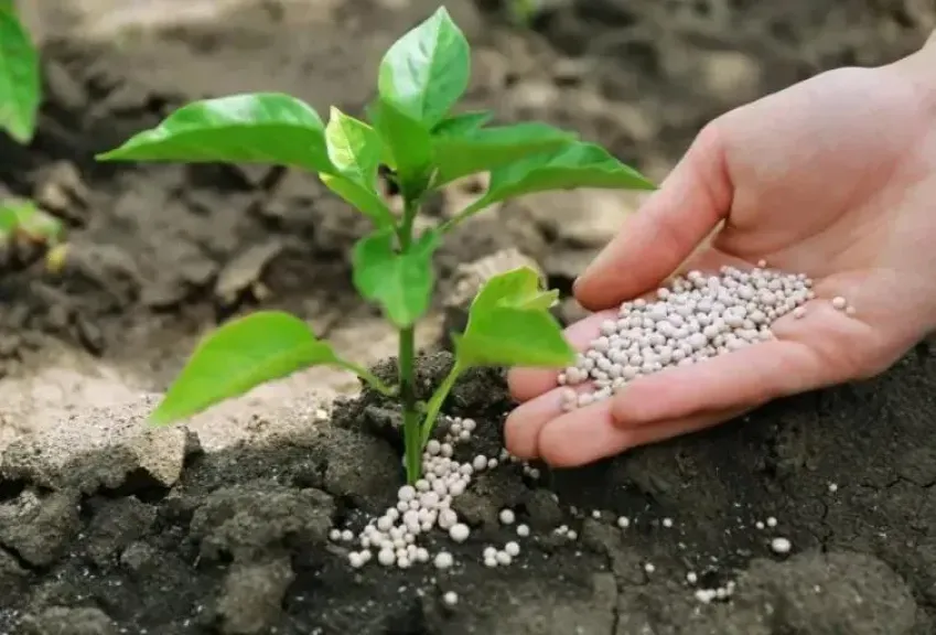 دليل المزارعين الشامل حول خلط الأسمدة الصحيح