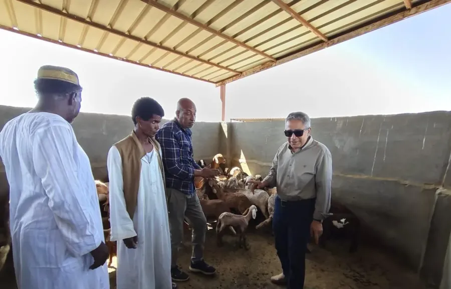 بحوث الصحراء” يواصل جهود تعزيز التنمية الزراعية بمثلث حلايب والشلاتين