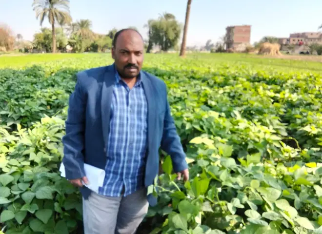 مدير جمعية زراعية بطهطا: لا شكاوى من نقص الأسمدة هذا الموسم