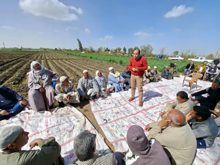 حملة موسعة لتوعية مزارعي البحيرة بأحدث تقنيات زراعة القمح