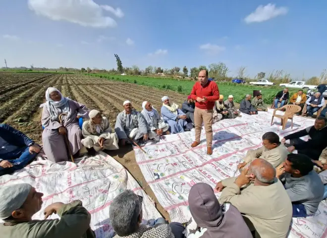 حملة موسعة لتوعية مزارعي البحيرة بأحدث تقنيات زراعة القمح