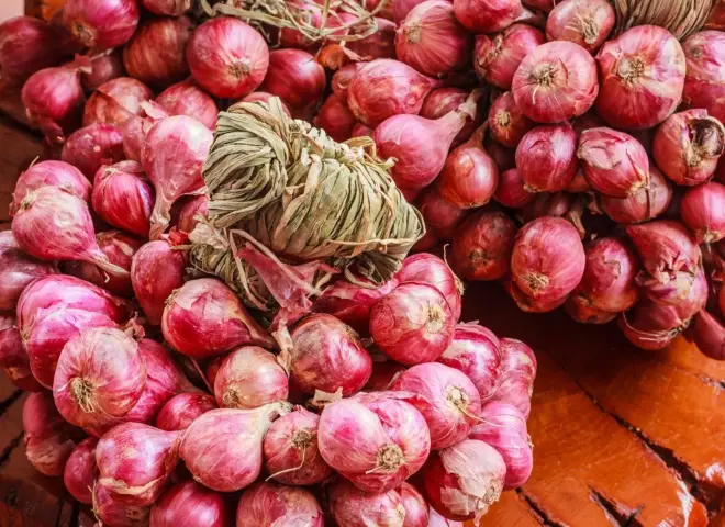 بعد مصر.. إنتاج البصل في نيجيريا يحتل المركز الثاني أفريقيا