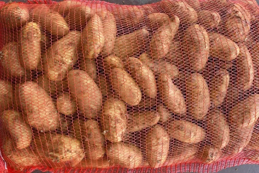 البطاطس الفرنسية تزيح المصرية من أسواق البلقان بأسعار تقترب من ”نصف التكلفة”