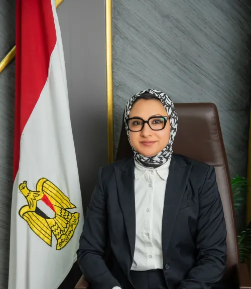 في أول قراراتها.. محافظ الوادي الجديد تأمر بإعادة الكهرباء للأراضي الزراعية