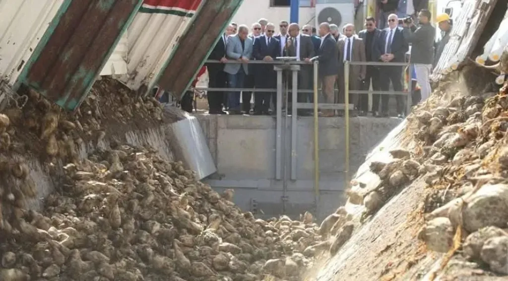 انطلاق موسم توريد بنجر السكر بالصالحية الجديدة