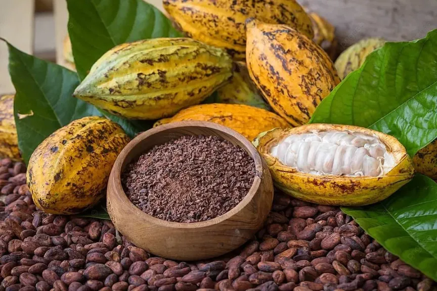 الكاكاو يهوي نحو 10% إلى أدنى مستوياته في عامين ونصف العام