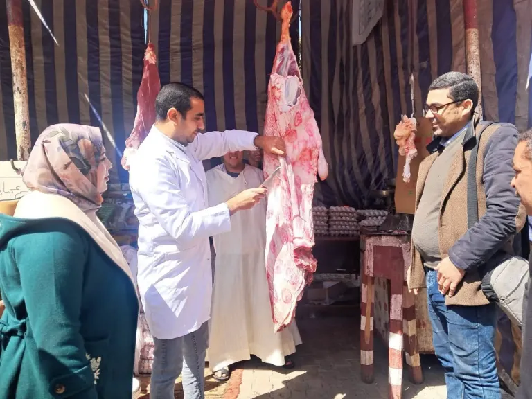 ضبط لحوم ودواجن فاسدة بحي الكوثر بسوهاج