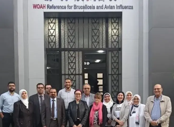 الزراعة تعلن حصول الصحة الحيوانية على شهادة عالمية ونجاح التوأمة مع لوفلر الألماني