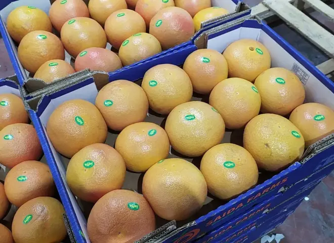 ثورة جينية: استخدام تقنية ”CRISPR” لإنتاج جريب فروت أقل مرارة