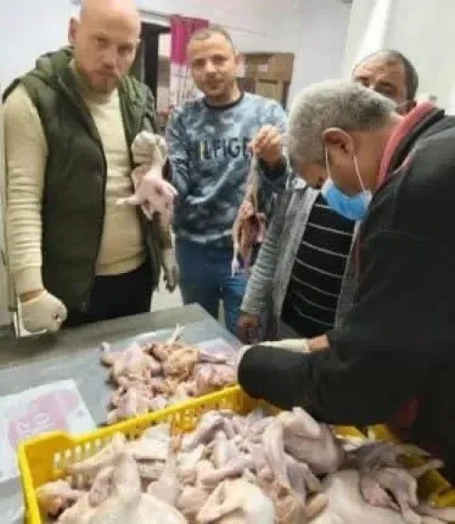 ضبط 71 دجاجة فاسدة ببني سويف بعد الترويج لعرض 4 بـ200