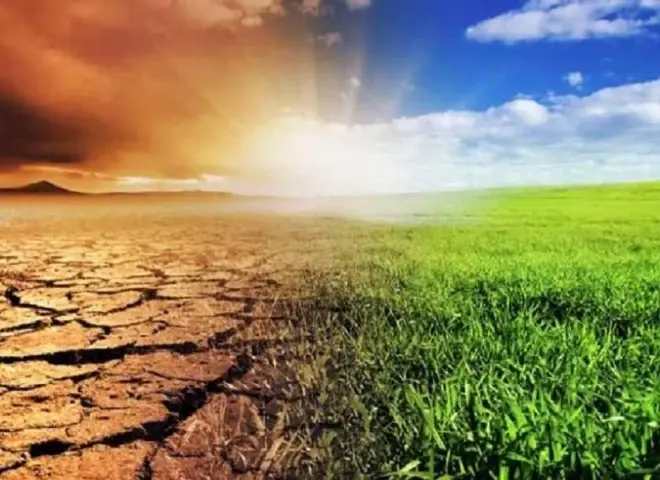 المناخ الزراعي يحذر من موجة تقلبات جوية تضرب المحاصيل