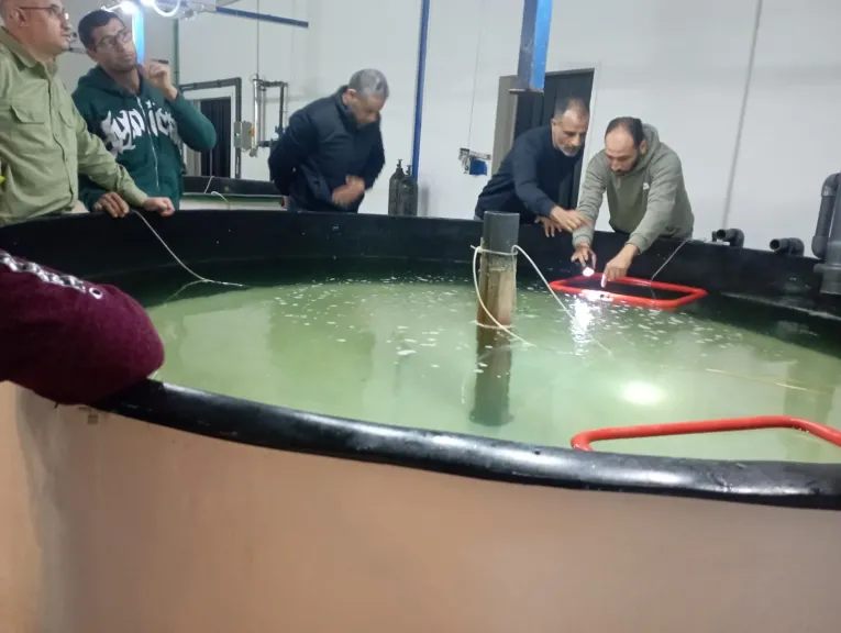 مصر تنفذ برنامج تدريب عملي لخبراء ليبيا في الاستزراع السمكي البحري