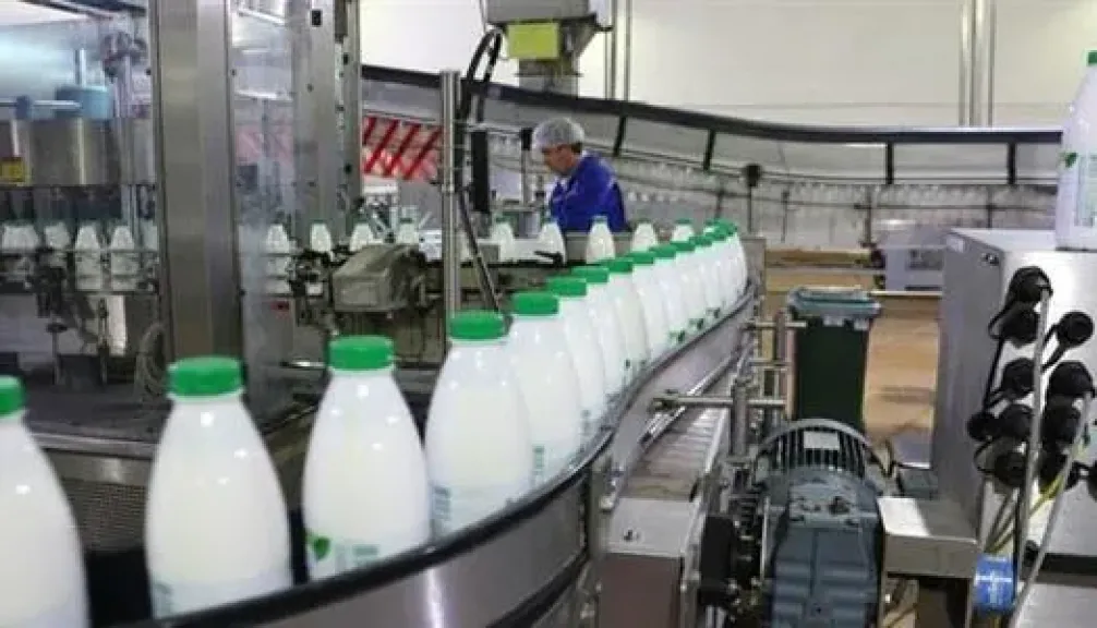 زراعة الشيوخ تطالب بالتوسع في مراكز تجميع الألبان