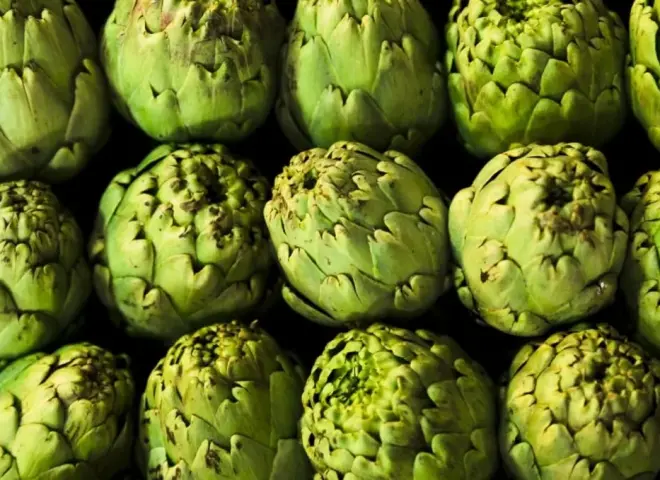 لرفع جودته للتصدير.. خدمة الخرشوف في الأراضي القديمة