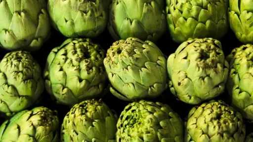 لرفع جودته للتصدير.. خدمة الخرشوف في الأراضي القديمة