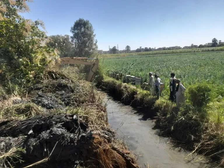 «الزراعة» تكثف أعمال تطهير المساقي بالأقصر تزامناً مع موسم كسر القصب