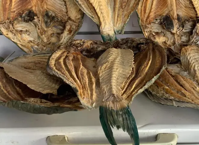 انطلاق موسم سمك البكالا استعدادًا لعيد الفطر