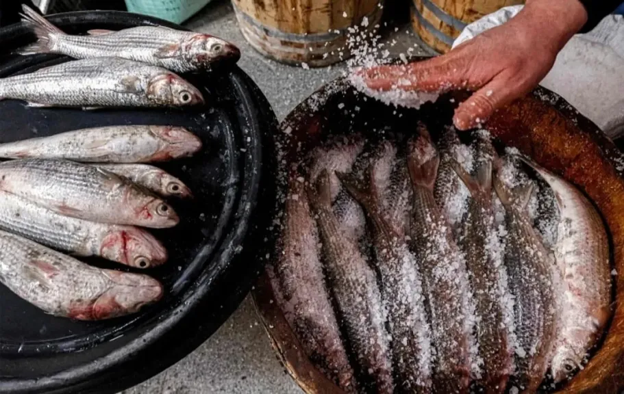 الفسيخ على مائدة العيد.. كيف نستقبل عيد الفطر بأمان؟