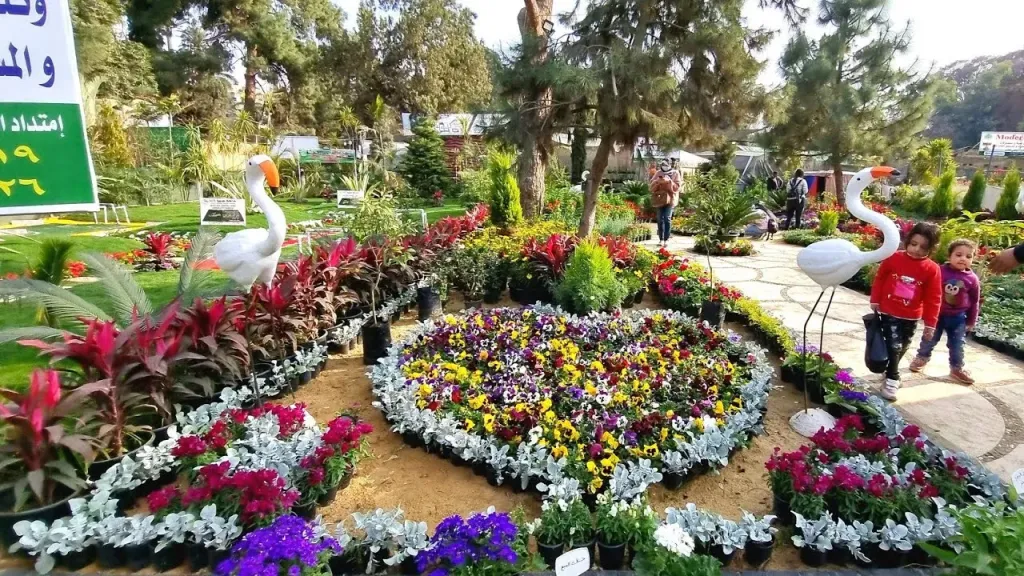 استعدادات مكثفة بالمتحف الزراعي لاستقبال معرض زهور الربيع