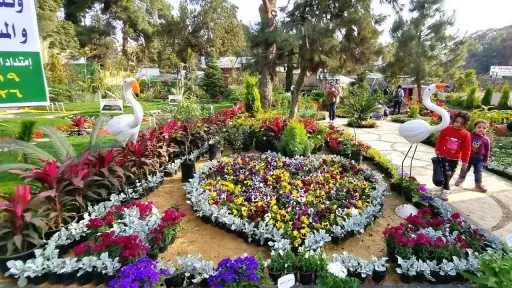 استعدادات مكثفة بالمتحف الزراعي لاستقبال معرض زهور الربيع