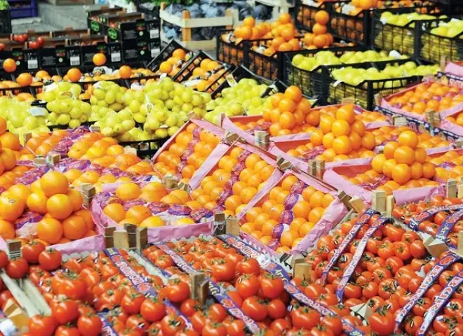 الزراعة تكشف حقيقة استمرار الصادرات المصرية