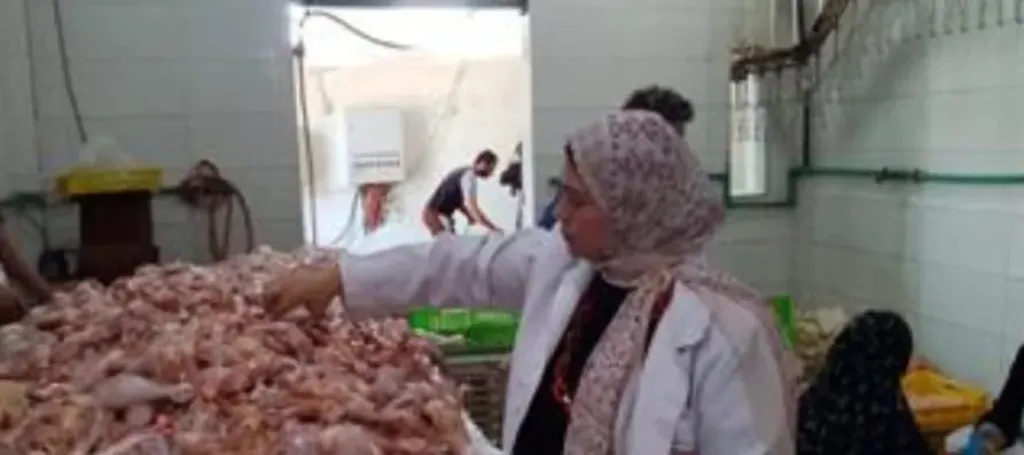 ضبط 5 أطنان دواجن فاسدة في الشرقية